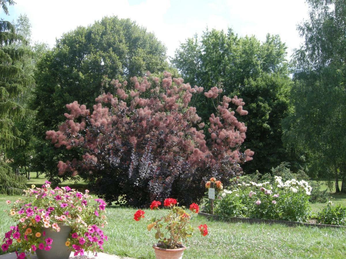 Bed and Breakfast Le Grand Pre Daillancourt Экстерьер фото